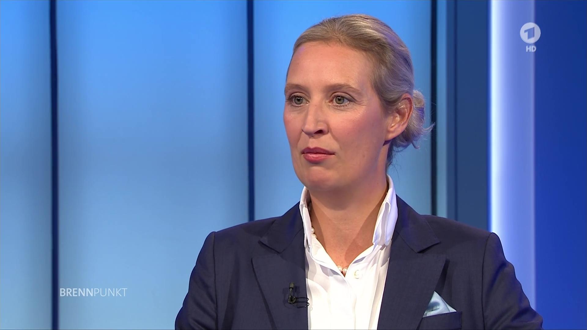 Alice Weidel : Impact et influence sur la politique allemande