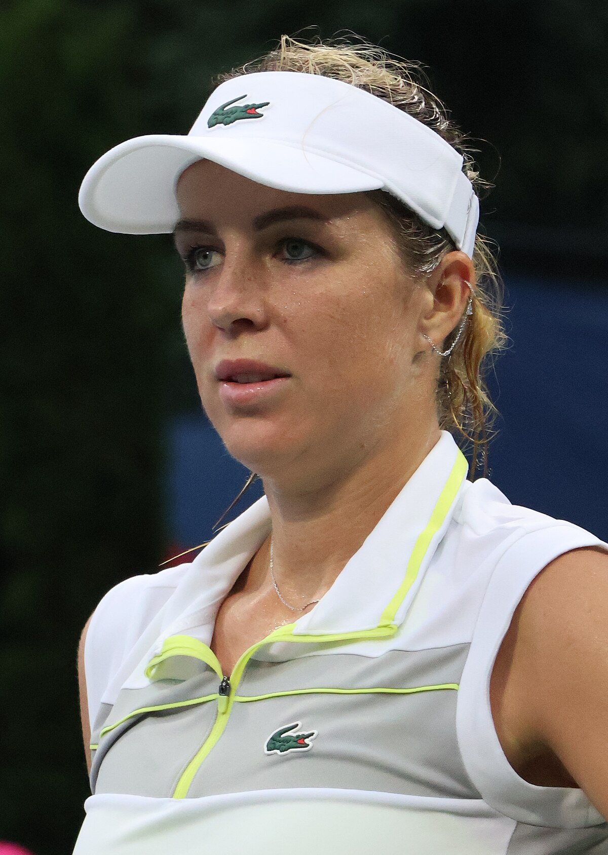 La carrière d'Anastasia Pavlyuchenkova : Des débuts aux sommets