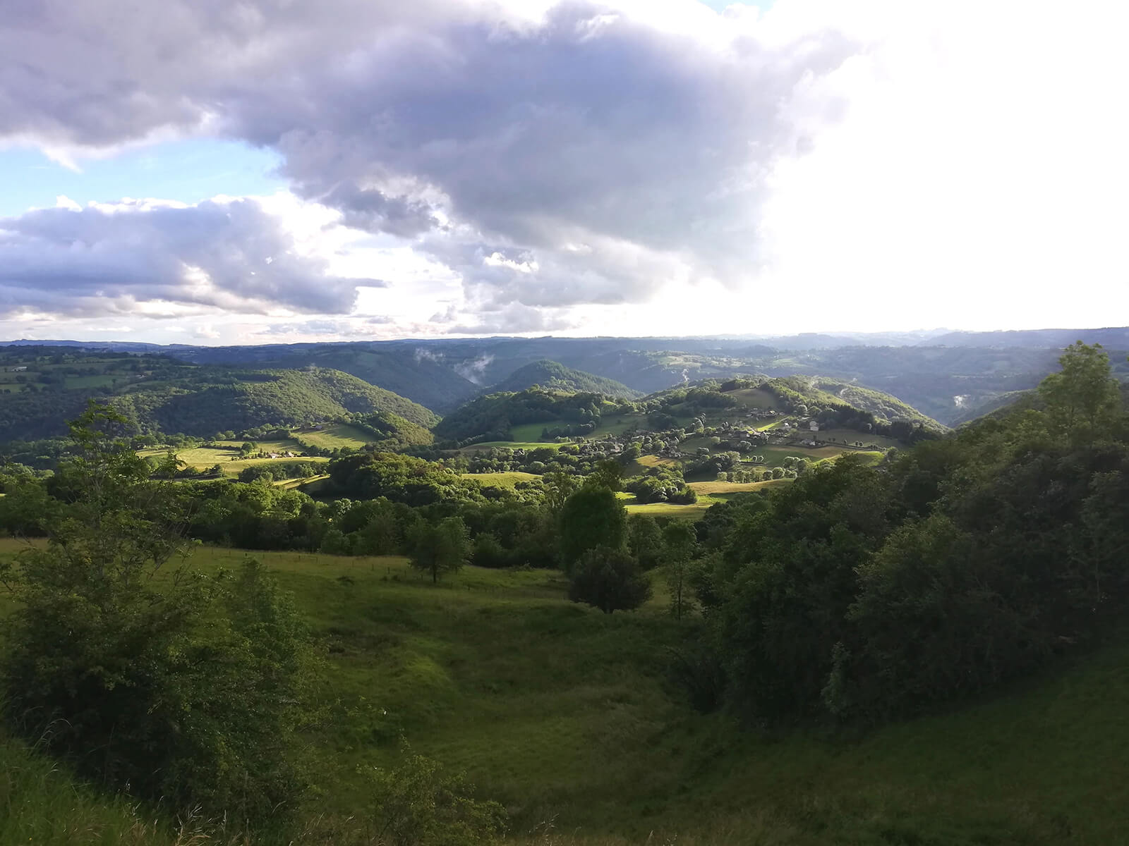 Tout savoir sur le Cantal : fromage emblématique de France