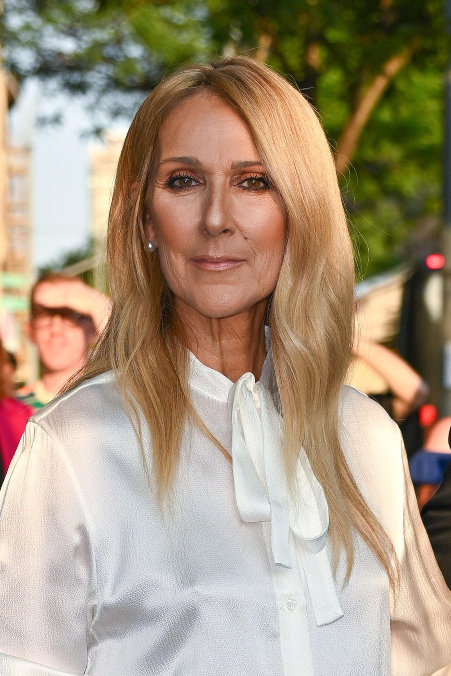 Céline Dion : Son parcours et son impact sur la musique