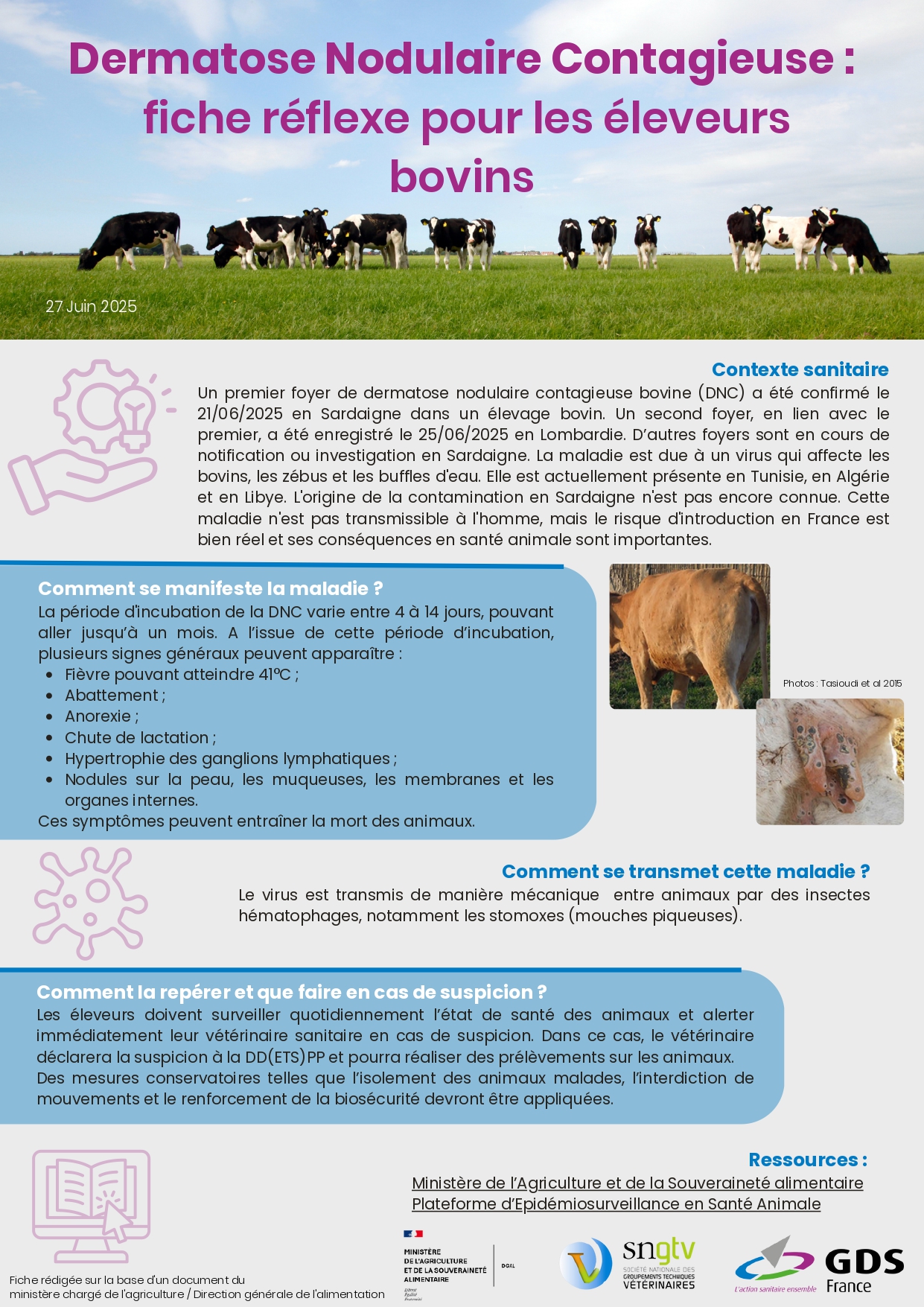 Tout Savoir sur la Dermatose Nodulaire – Populaction Actualités