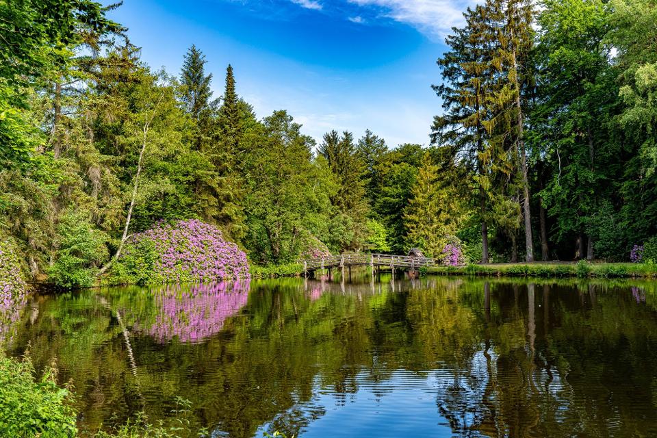 Georges Lemoine : Une Influence dans le Secteur Culturel Français