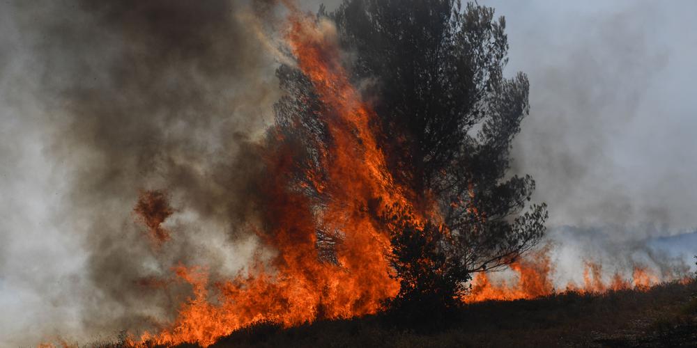 Un incendié dévastateur à Avignon : faits et impacts