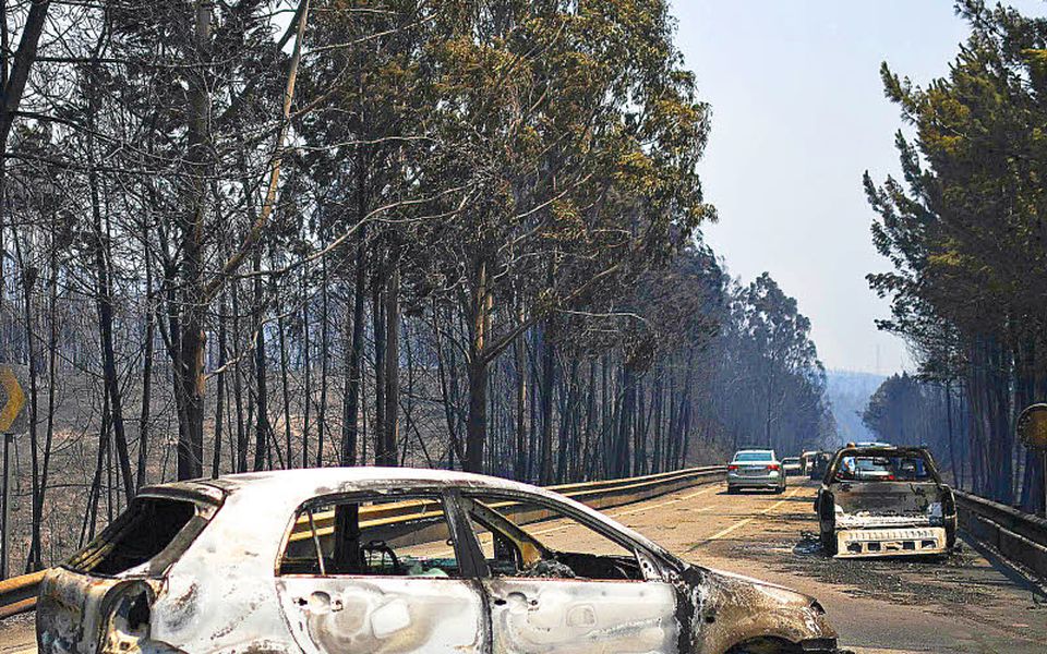 Les récents incendies au Portugal : un état des lieux