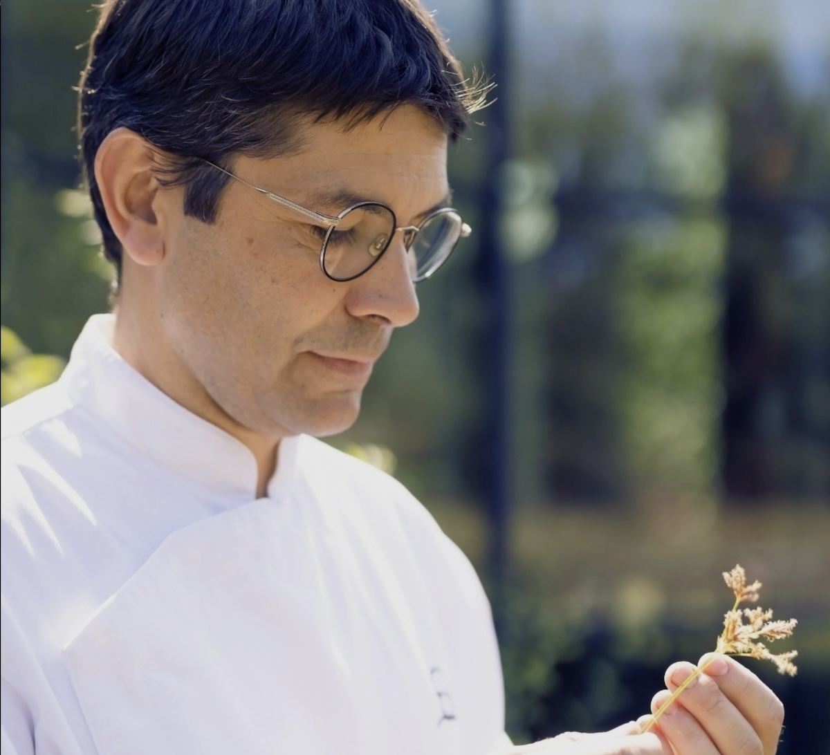 Jacques Marcon : L'Art Culinaire à Son Apogée