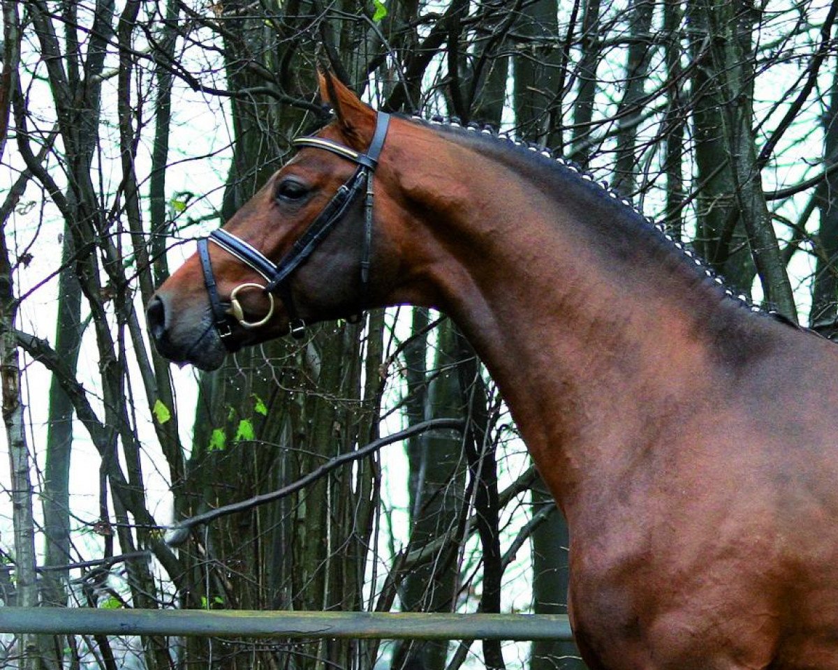 L'importance et l'évolution de la Lou