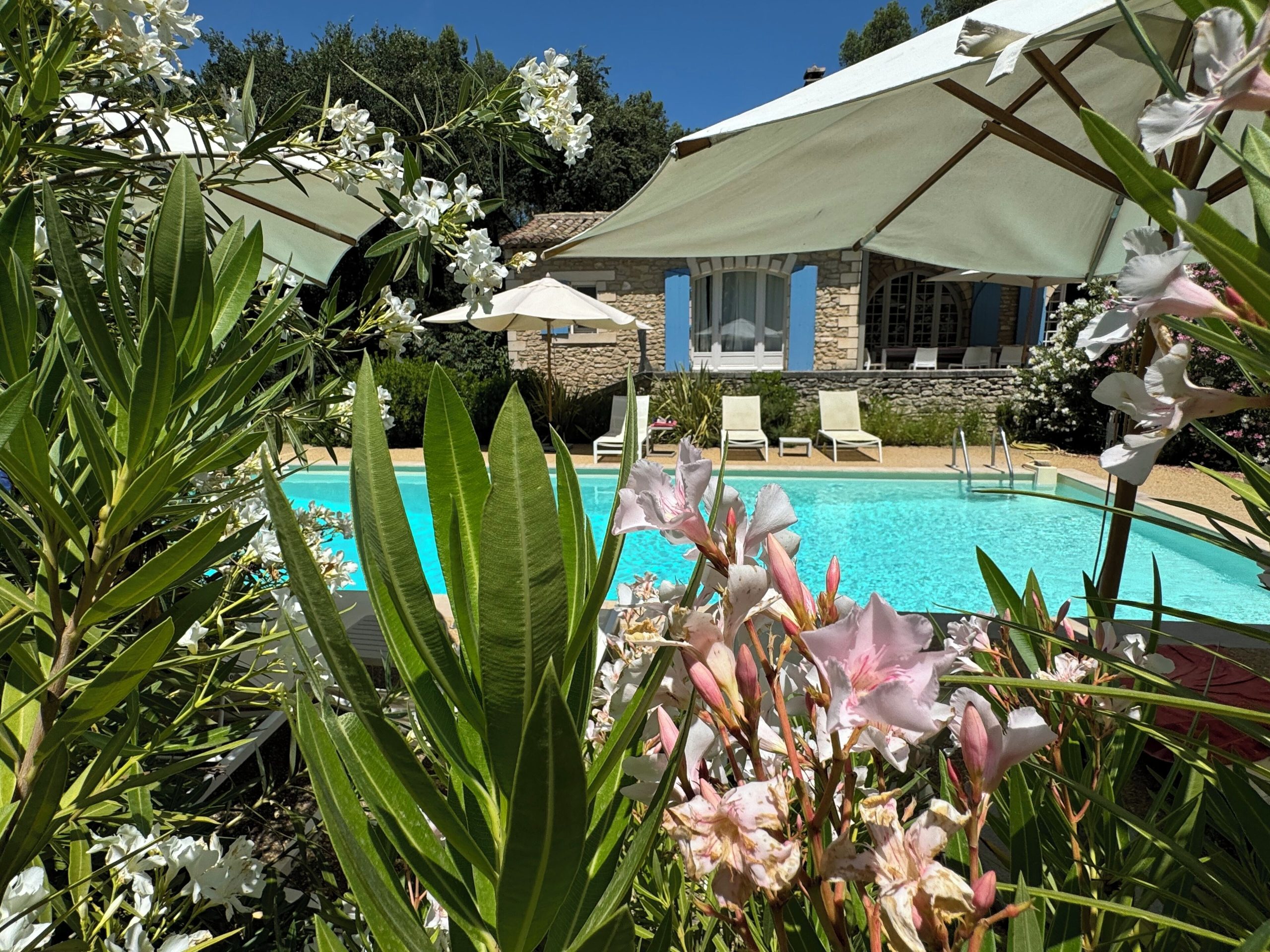 Menerbes : À la découverte d&rsquo;un joyau de la Provence