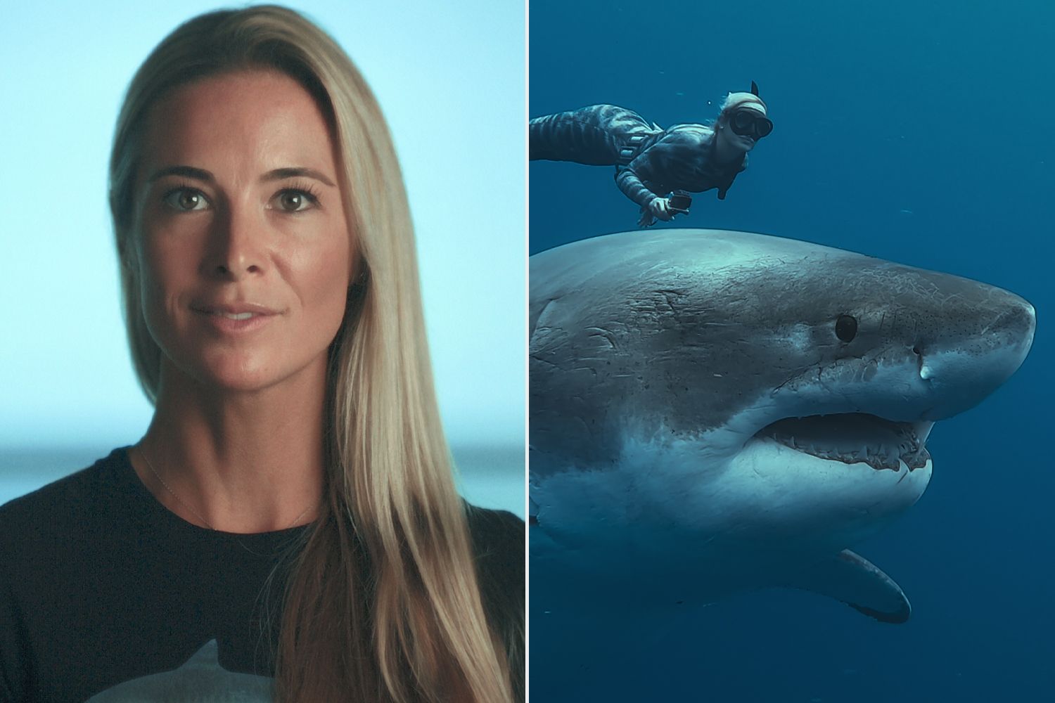 Ocean Ramsey : Défenseure passionnée des requins
