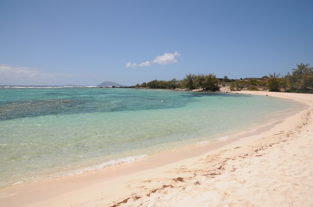 L'Importance des Plages en Été : Tourisme et Écologie