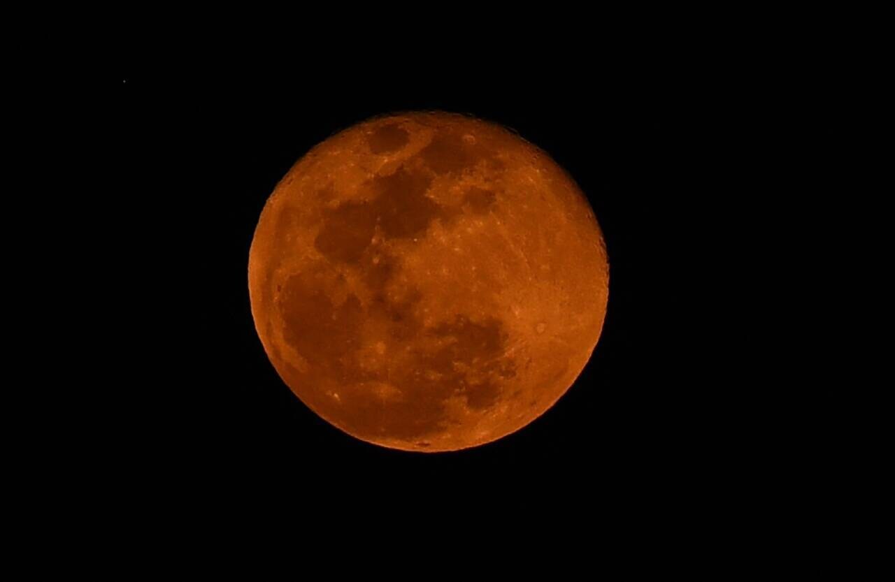 L'Impact de la Pleine Lune sur les Cerfs