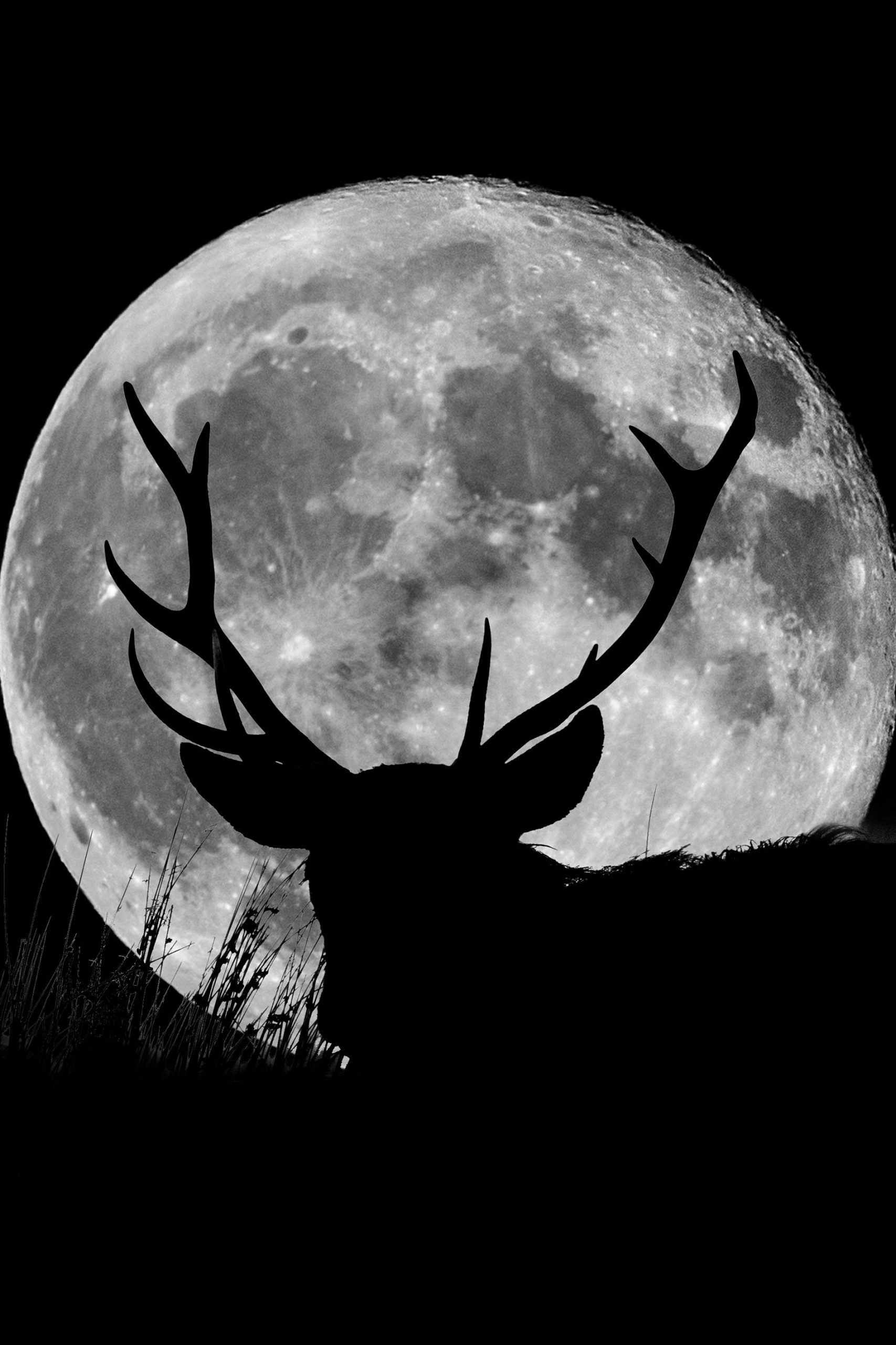 La pleine lune de juillet 2025 : Éclairages astrologiques