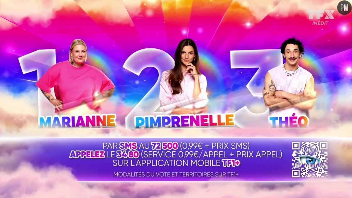 Le Vote : Un Élément Clé de Secret Story