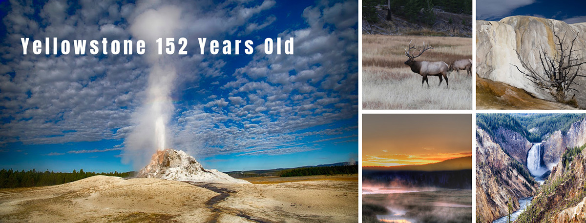 Les dernières nouvelles sur le parc national de Yellowstone