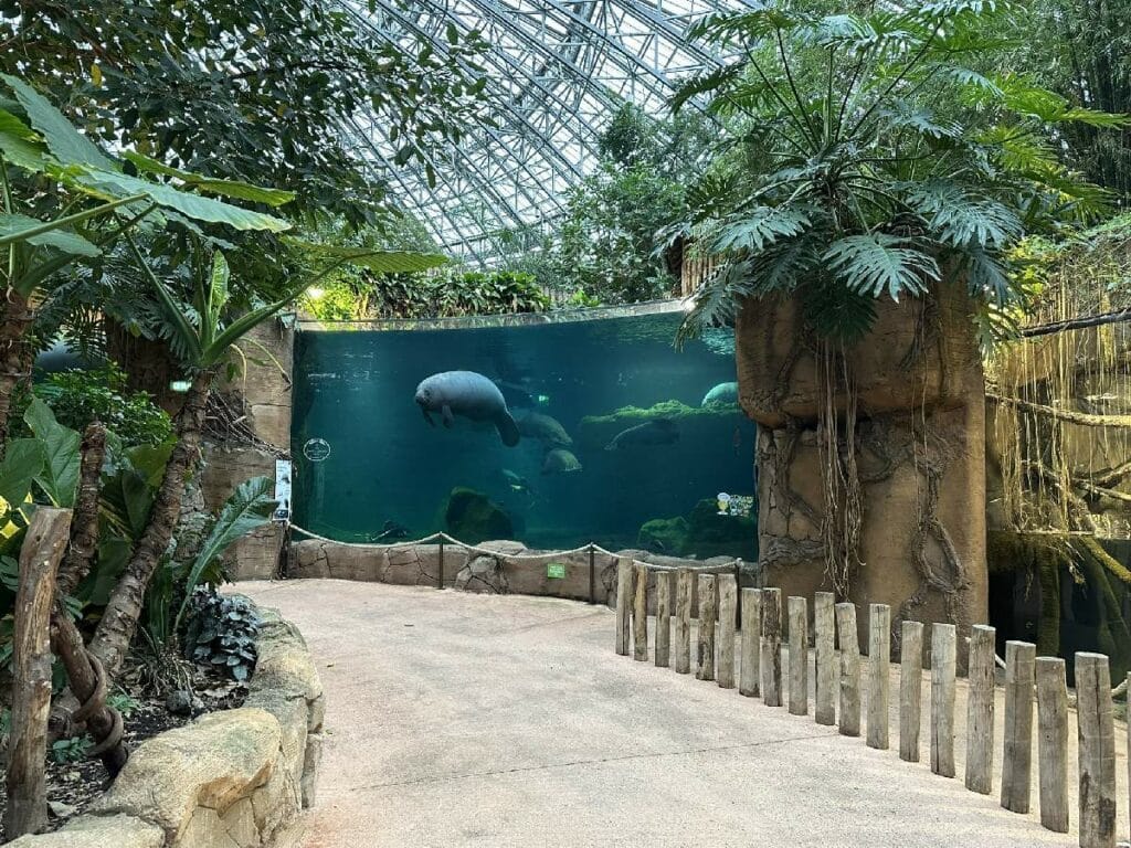 Tout savoir sur le Zoo de Beauval