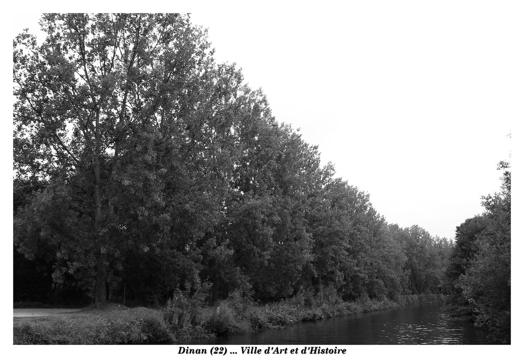 Dinan : Plongée au cœur d'une ville médiévale en Bretagne