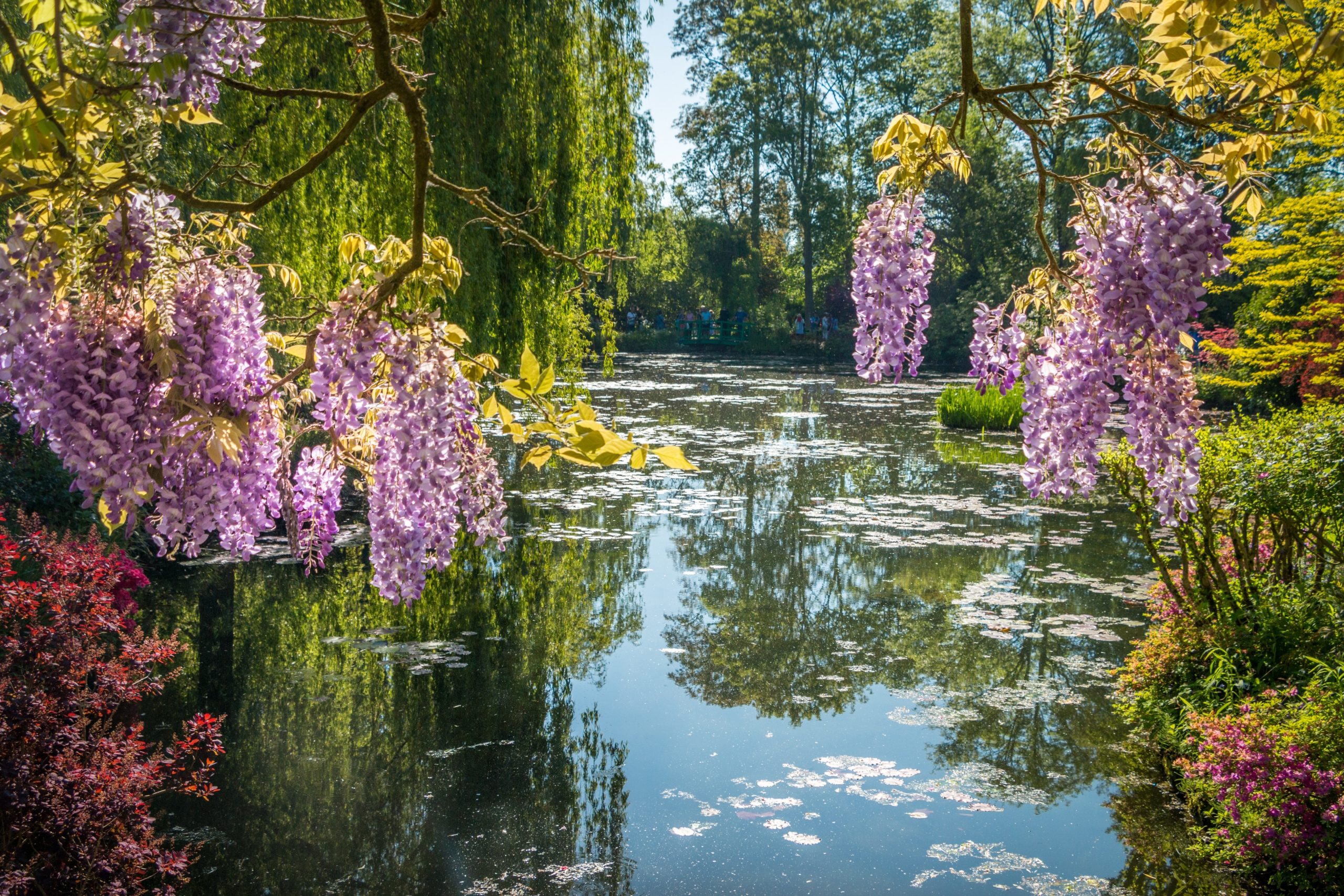 Exploration de Giverny, le berceau de l&rsquo;impressionnisme