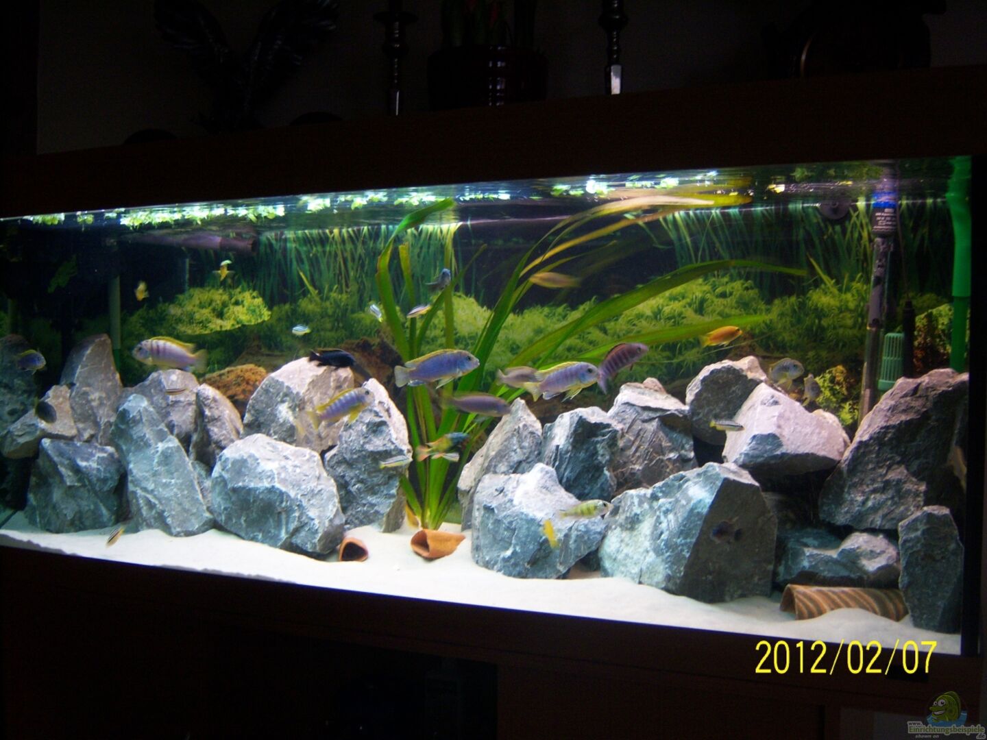 Malawi : Un pays en quête de développement durable