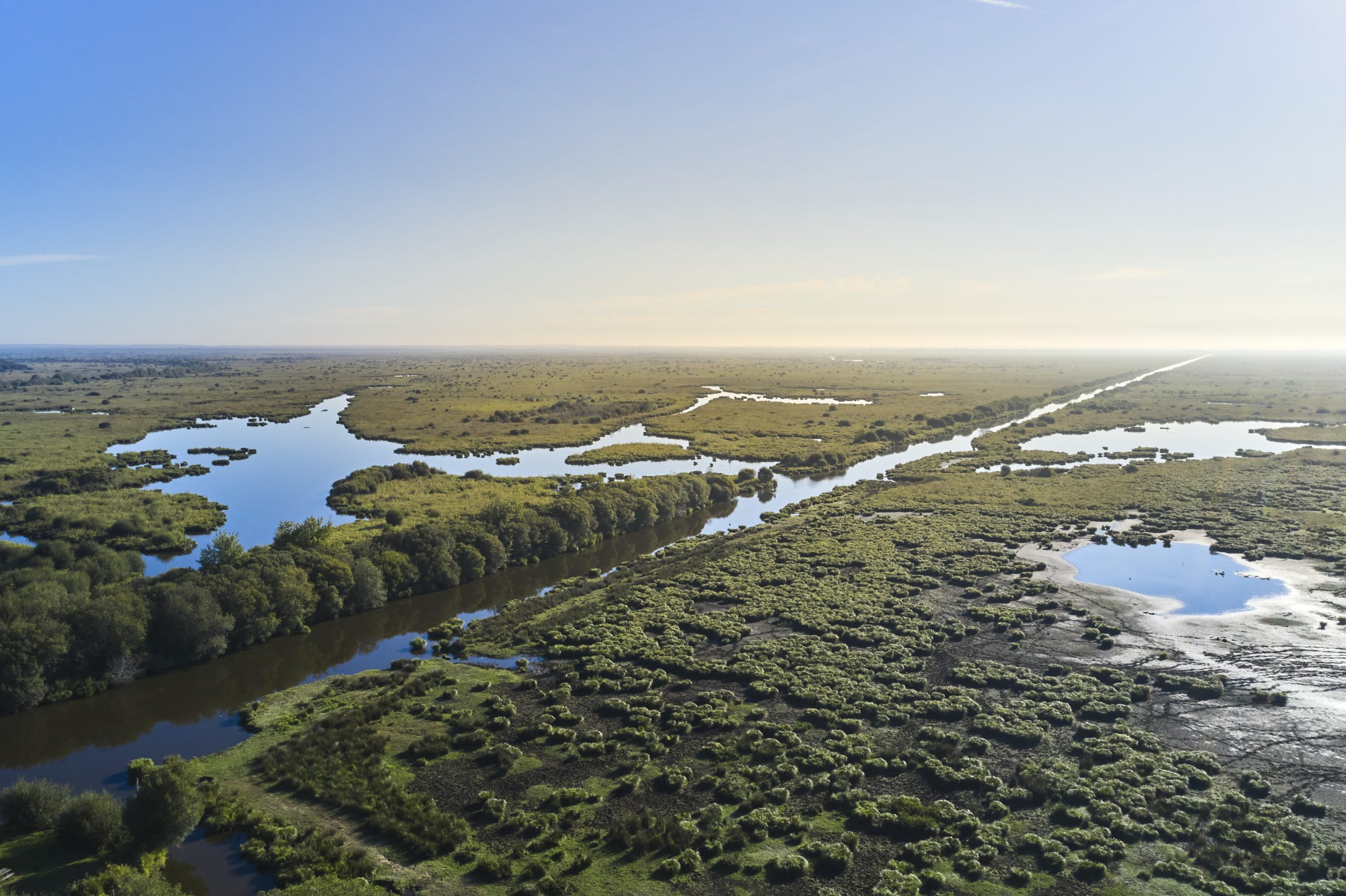 Exploration du Marais de Brière : Un Trésor Naturel de France