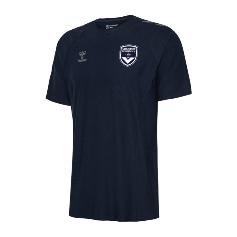 Les Girondins de Bordeaux : Renouveau et avenir
