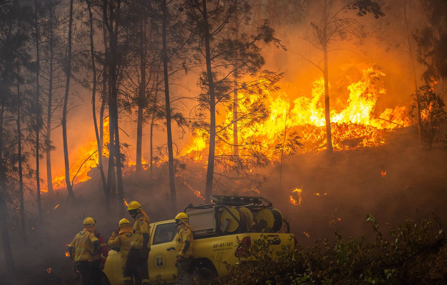 Incendie au Portugal : Impact et Réponses
