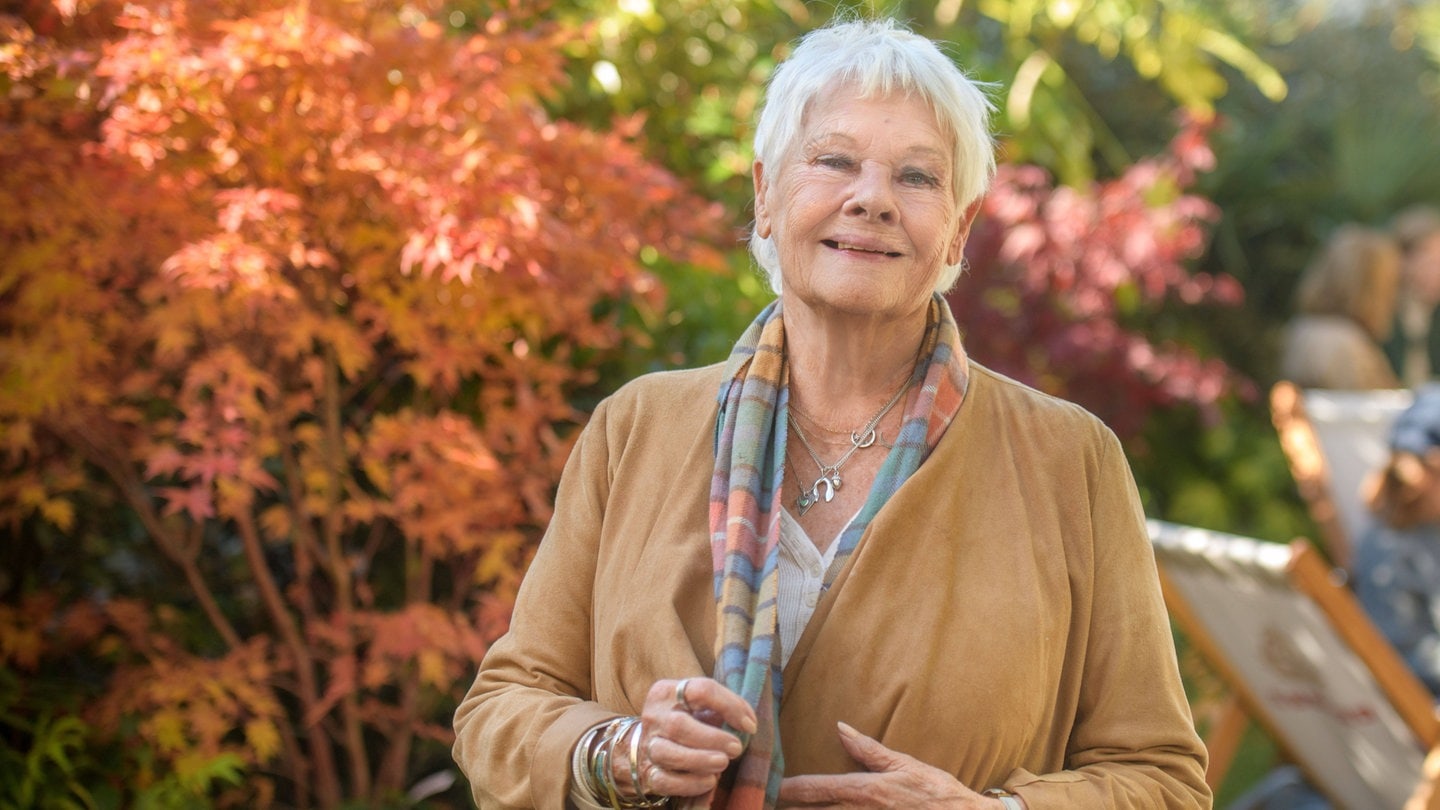 L'Héritage de Dame Judi Dench dans le Cinéma
