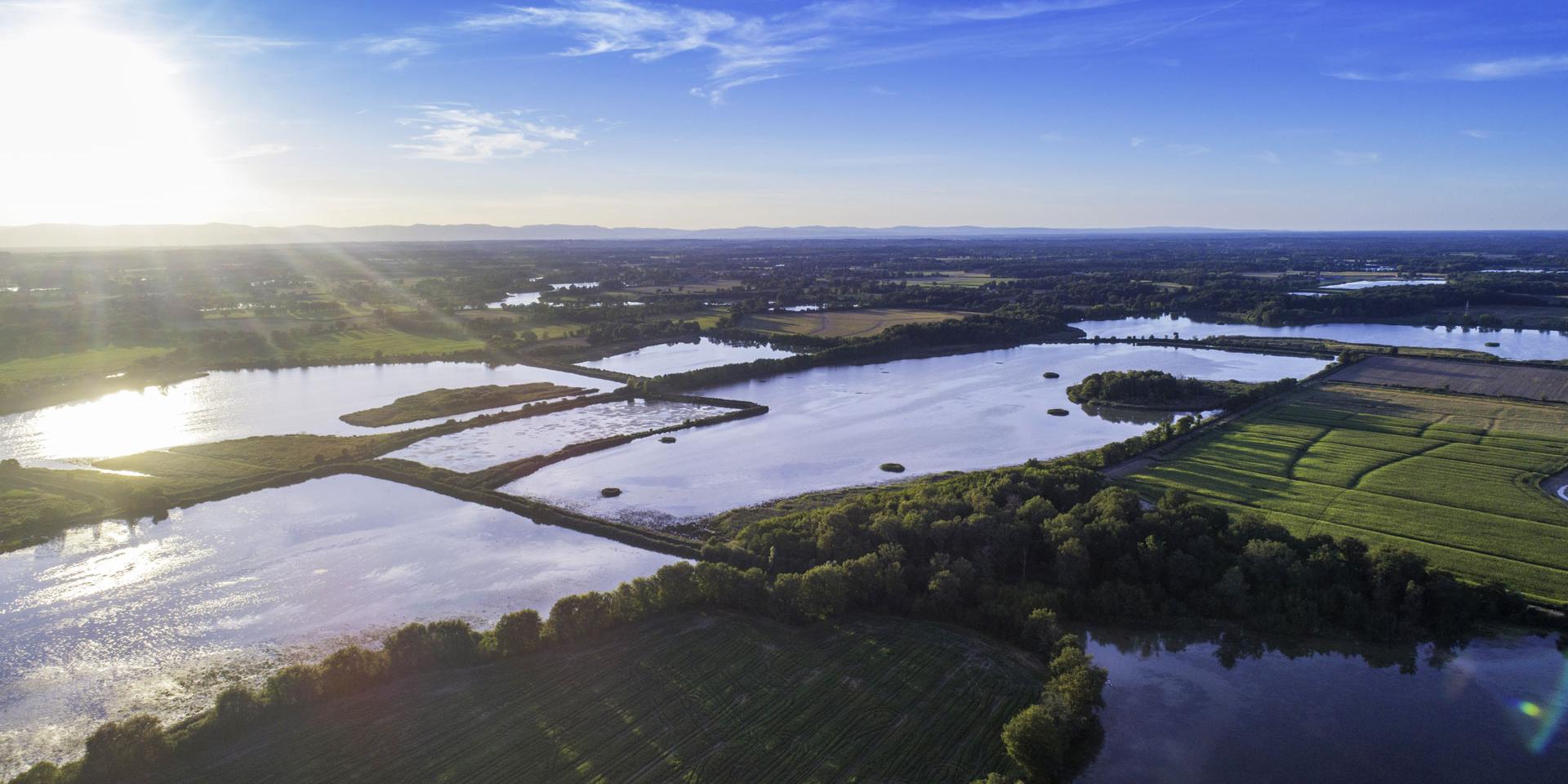 La Dombes : un écosystème exceptionnel en France