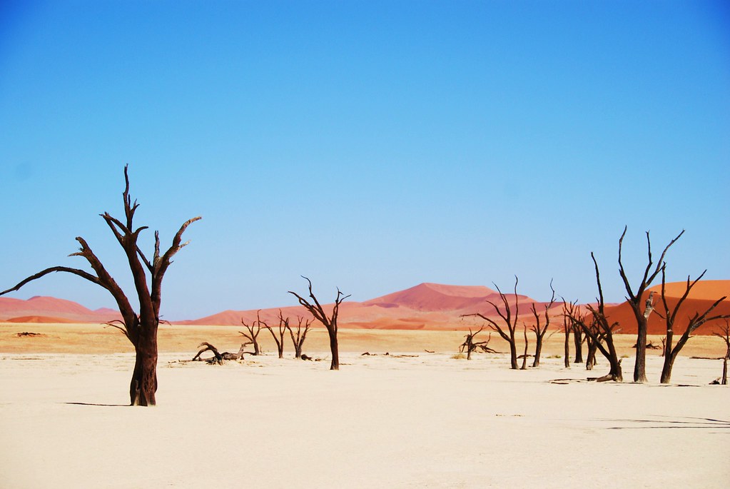 À la Découverte de la Namibie : Nature et Culture