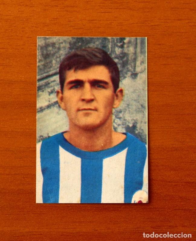La Real Sociedad : Un Pilier du Football Espagnol
