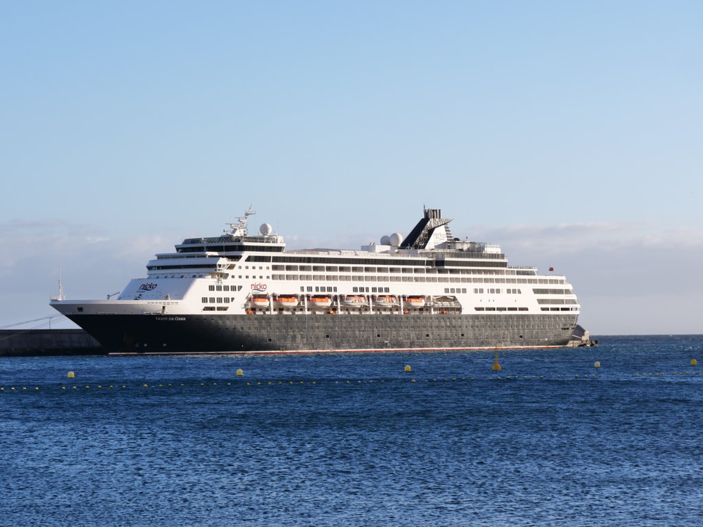 Vasco da Gama et Cruzeiro : Une rivalité iconique du football brésilien