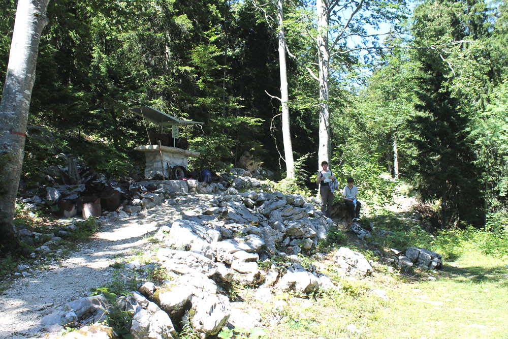 Vercors : Un trésor naturel en France