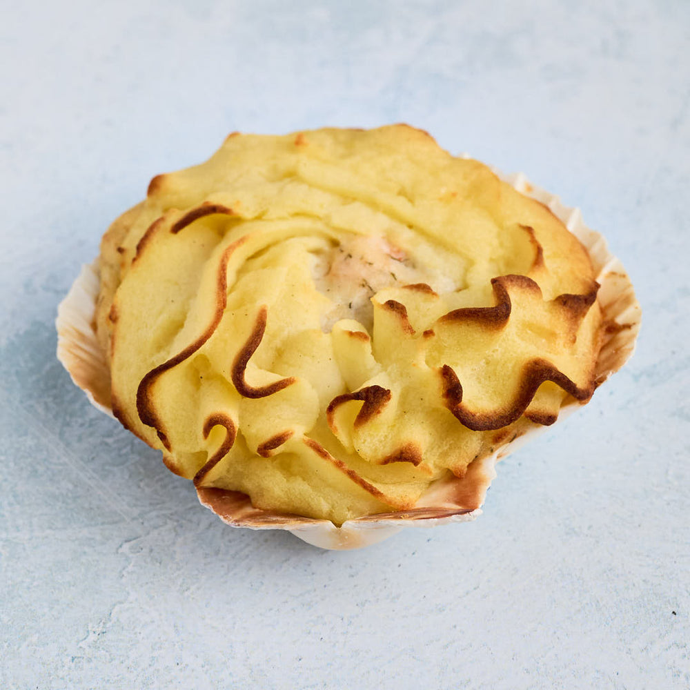 La Coquille Saint Jacques : symbole de la gastronomie marine
