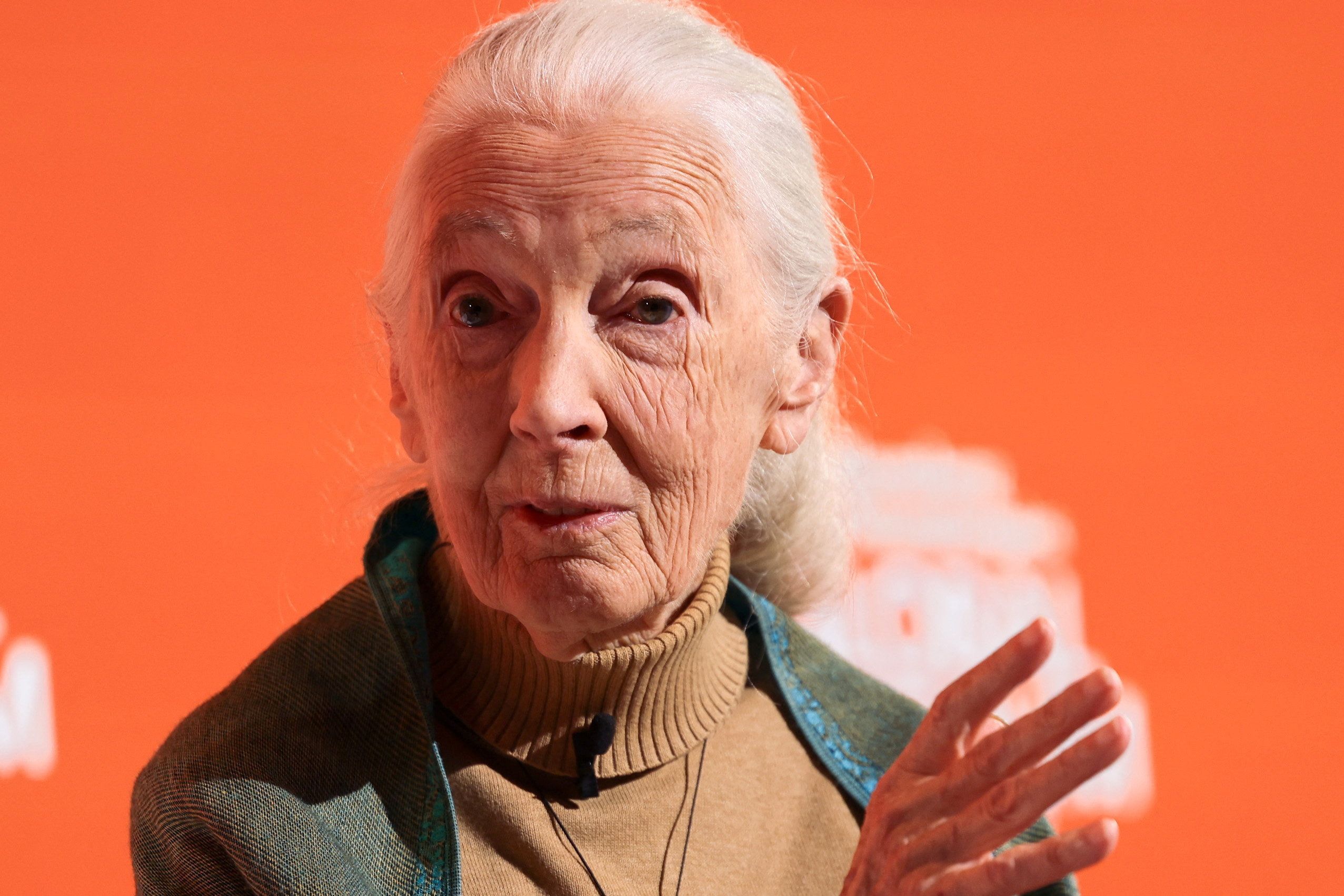 L&rsquo;héritage de Jane Goodall : Primatologue et conservationniste