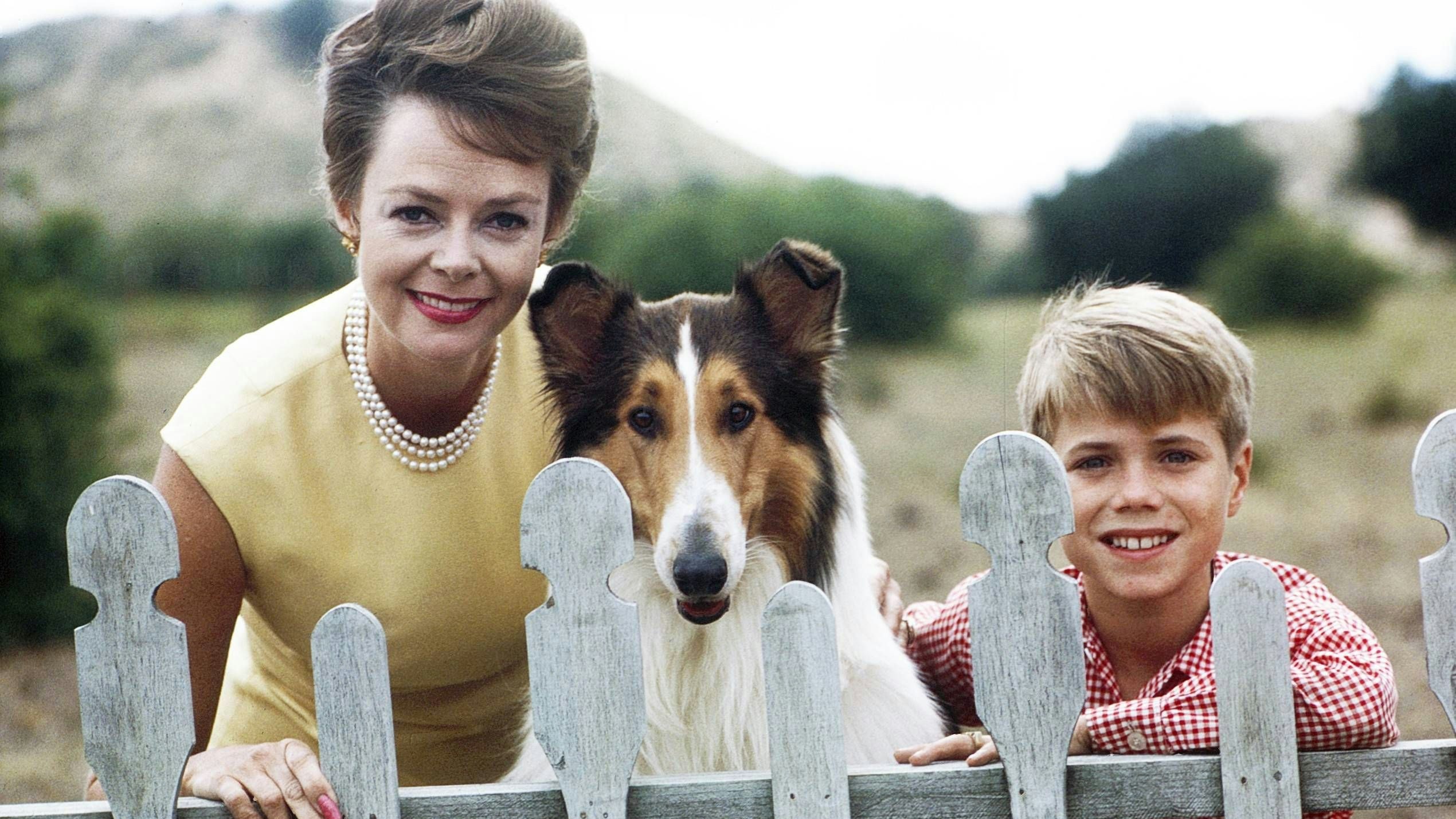 L&rsquo;héritage de June Lockhart dans le monde du divertissement