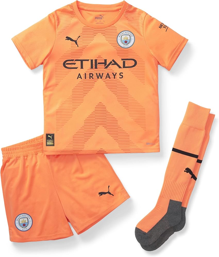 L&rsquo;Ascension de Manchester City dans le Football Moderne