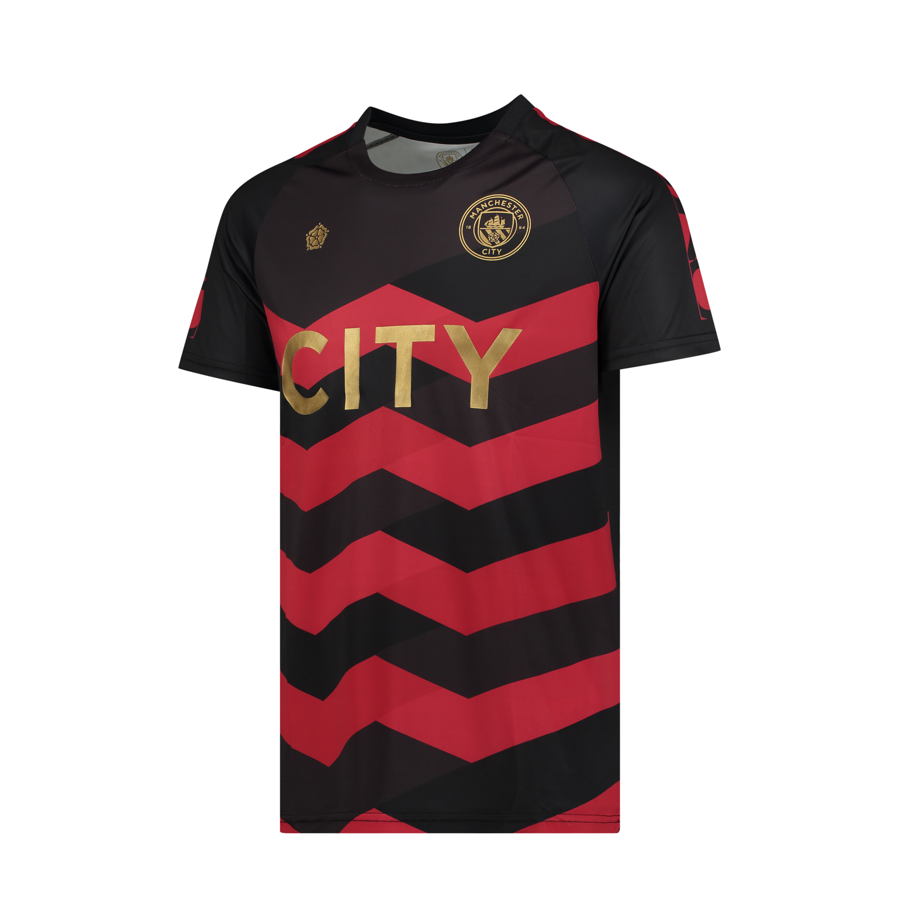 L'ascension de Manchester City : Un géant du football mondial