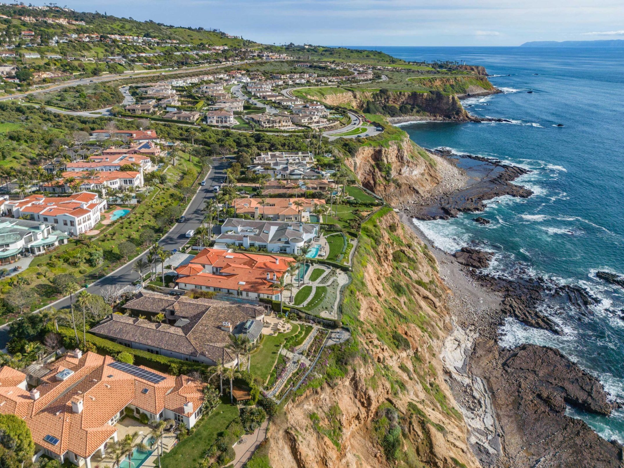 Tout savoir sur les marguerites : histoire et signification