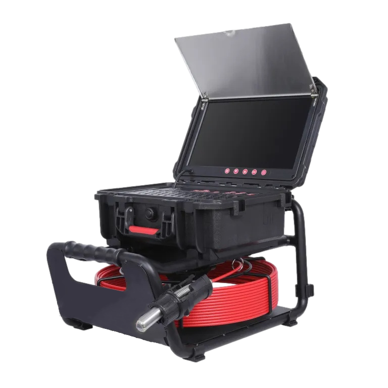 L'USAP : Club emblématique du rugby français