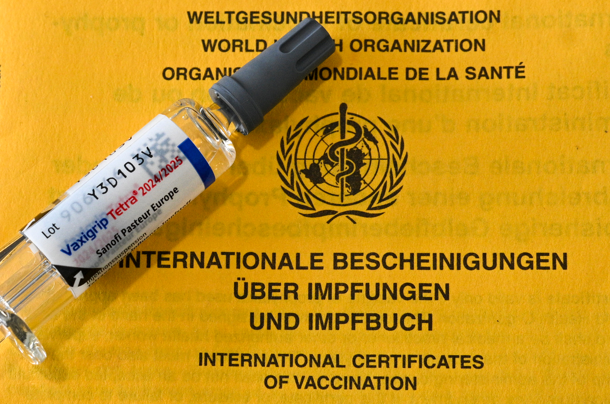 Vaccin Grippe 2025 : Innovations et Importance pour la Santé