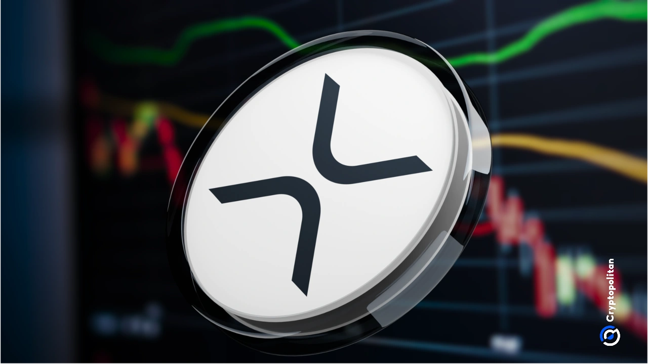 Comprendre XRP et son impact sur les paiements numériques