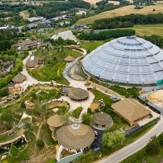 Le Zoo de Beauval : un joyau de la biodiversité en France
