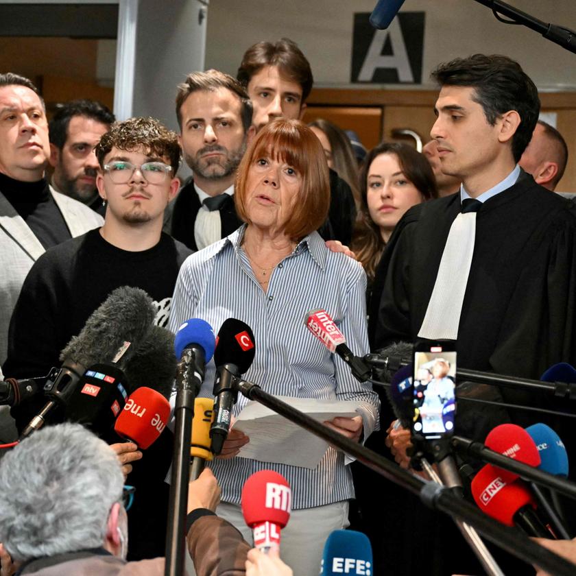 Dominique Pelicot : Une Influence Proéminente dans Son Domaine