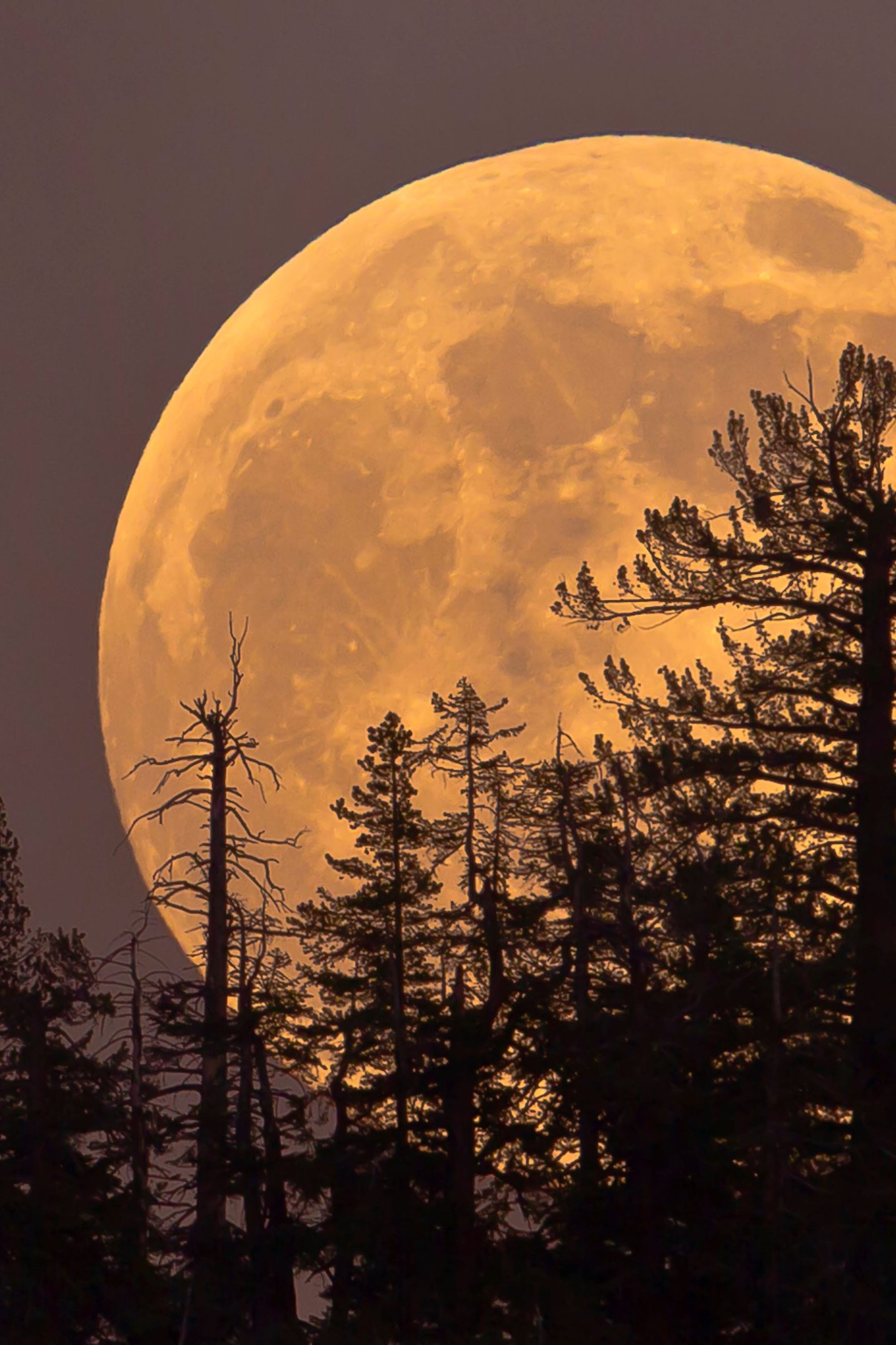 Nouvelle Lune de Novembre 2025 : Ce Que Vous Devez Savoir