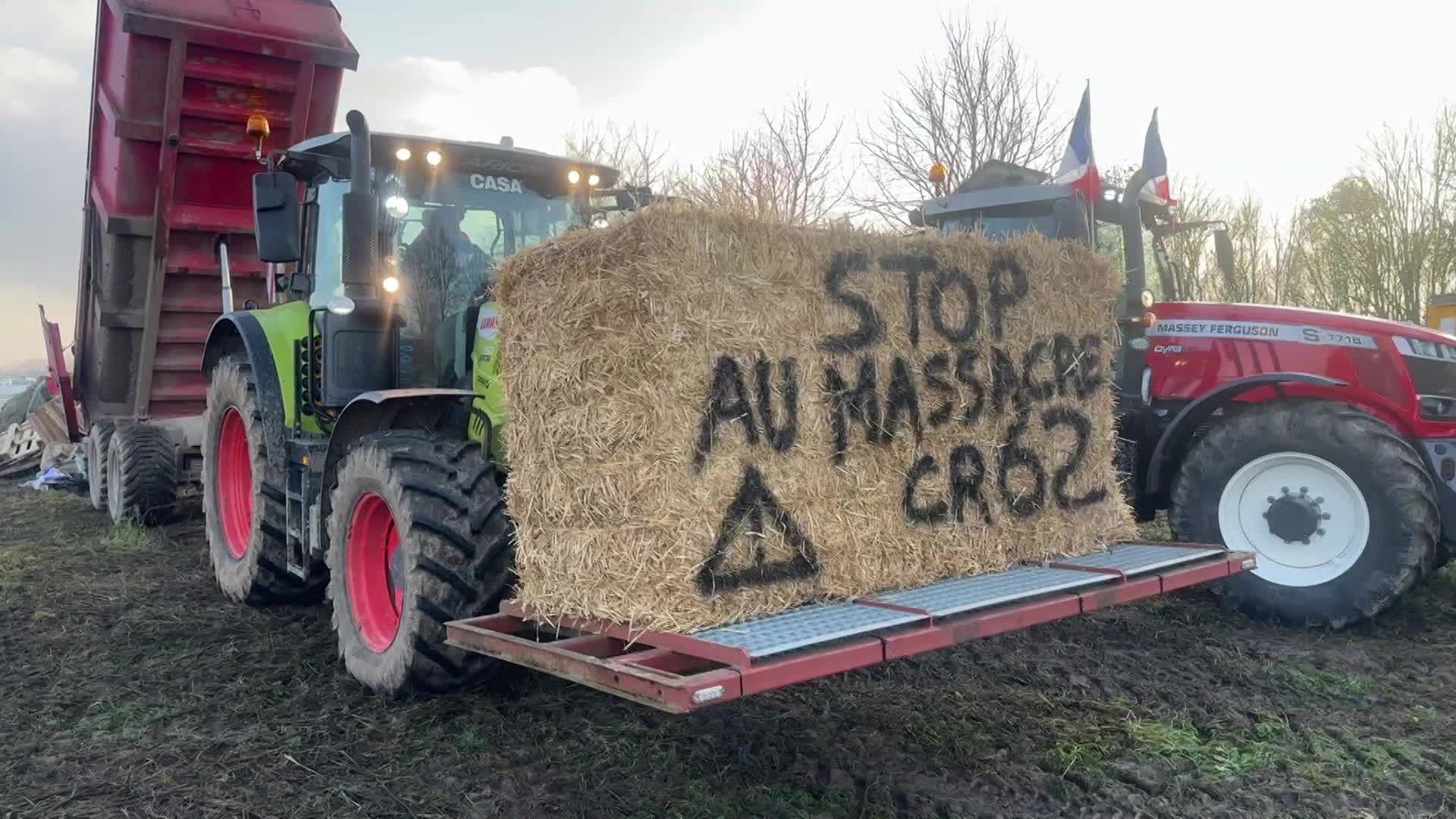 Dermatose nodulaire : les agriculteurs face à une crise sanitaire sans précédent