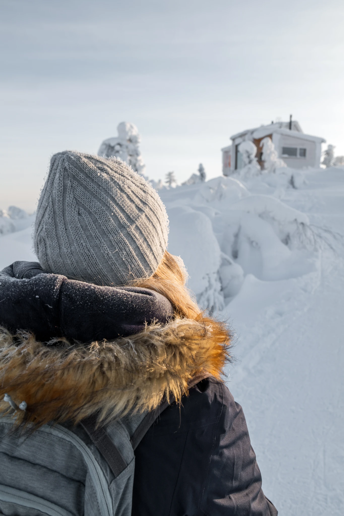 La Laponie : Une Destination Hivernale en Pleine Expansion pour 2025-2026
