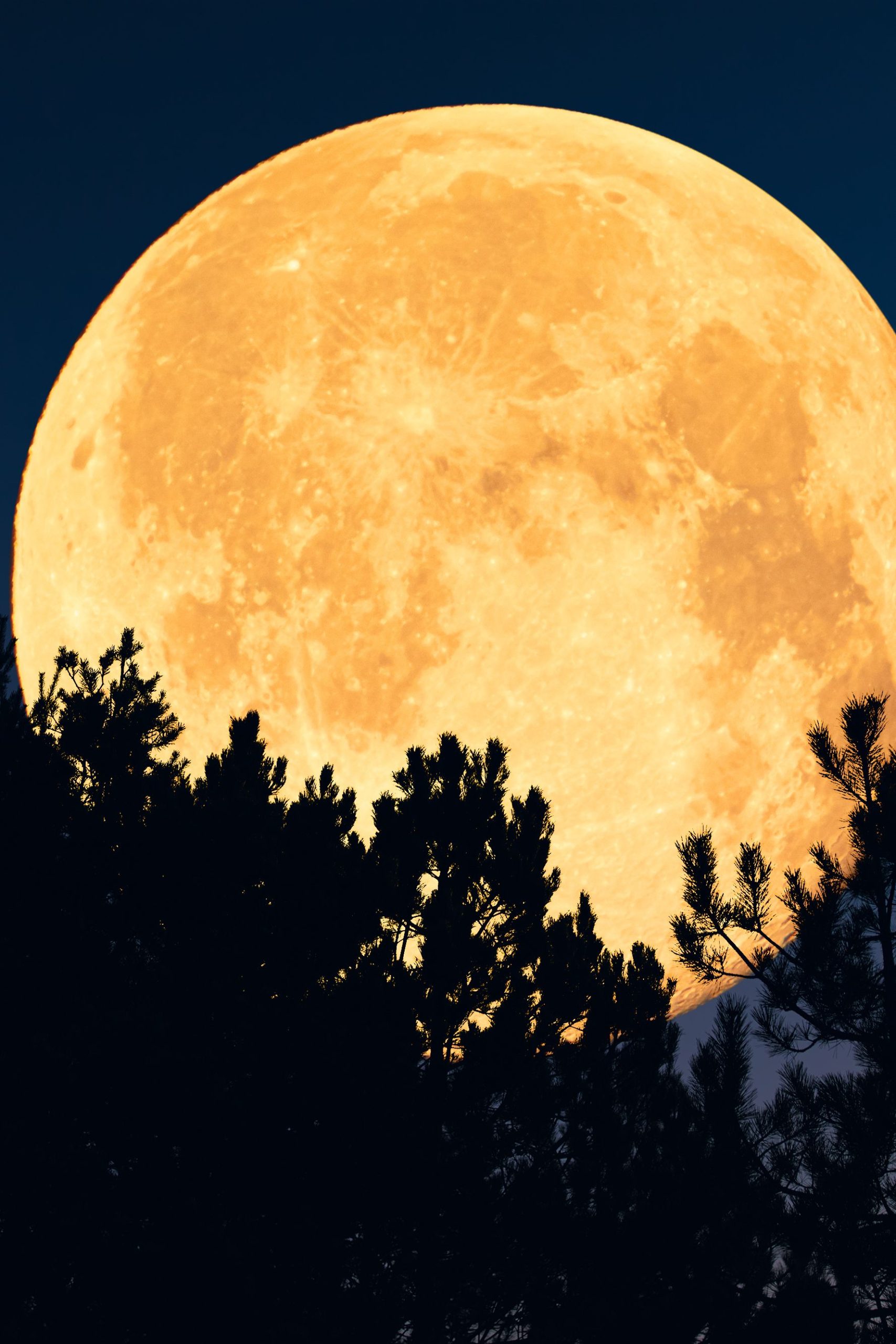 Pleine Lune du 5 décembre 2025 : Un Événement Céleste Exceptionnel