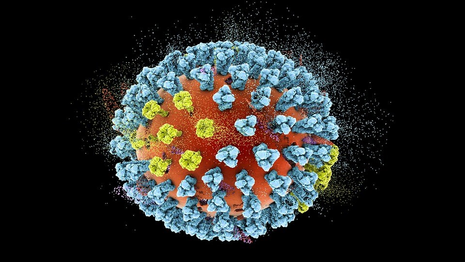 Super Grippe : Comprendre l'Épidémie Précoce du Variant H3N2 en France