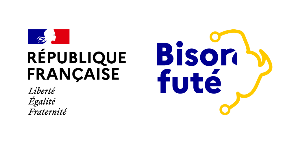 Bison Futé : Le Guide Indispensable de l'Information Routière en France