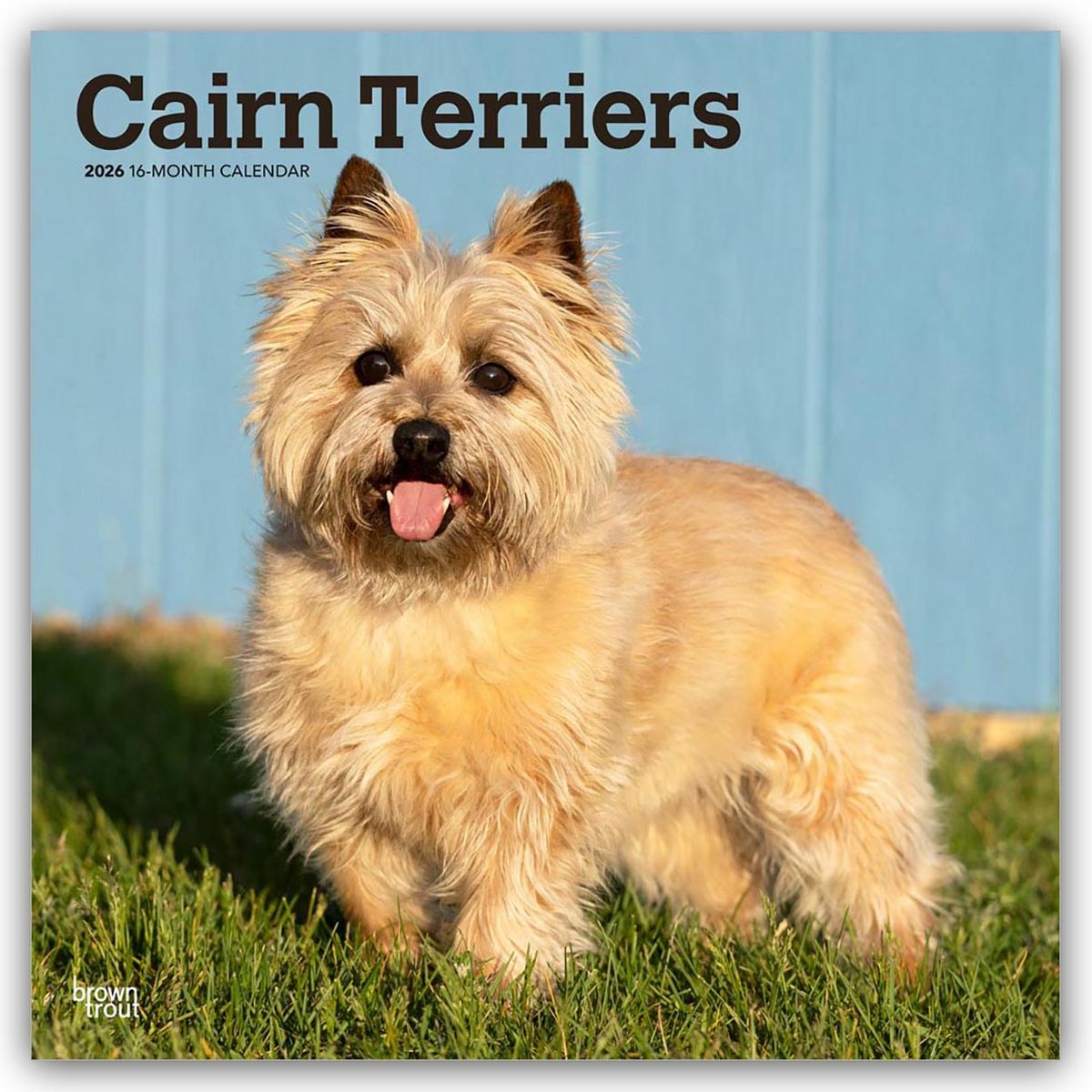 Cairn : entre repère, patrimoine et impact environnemental