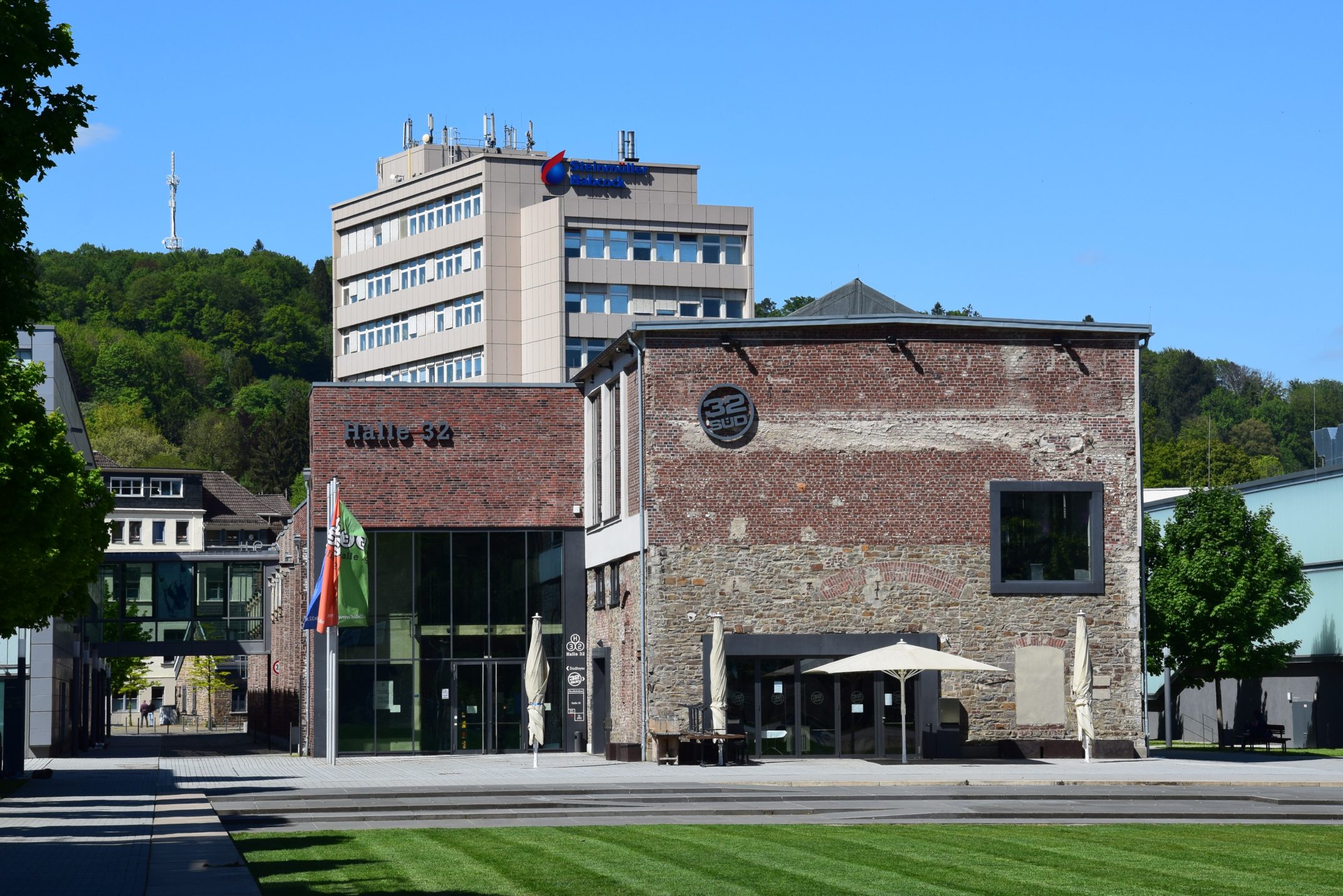 Disparition de Francis Hallé : le monde scientifique perd un grand défenseur des forêts