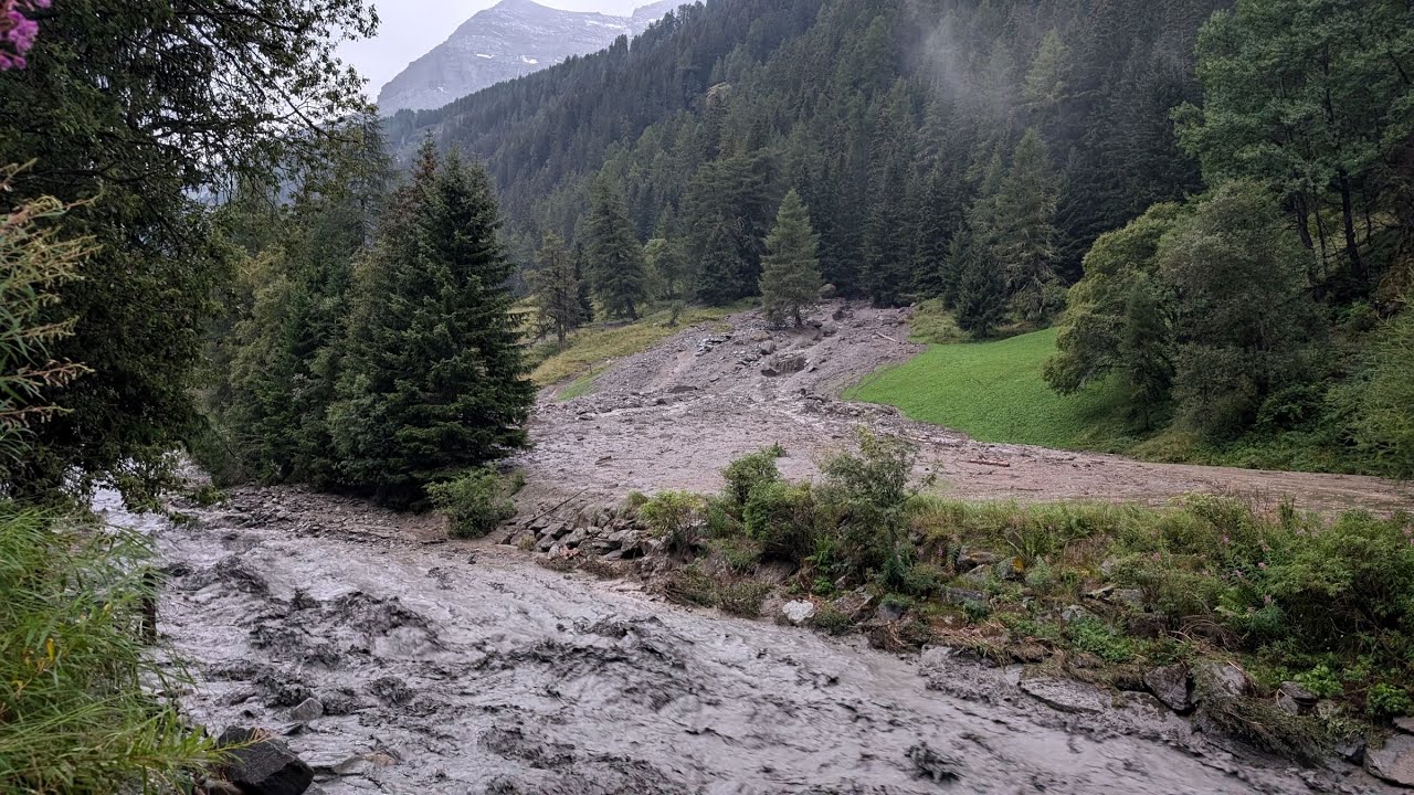 Intempéries en France : un début 2026 marqué par la neige et le froid